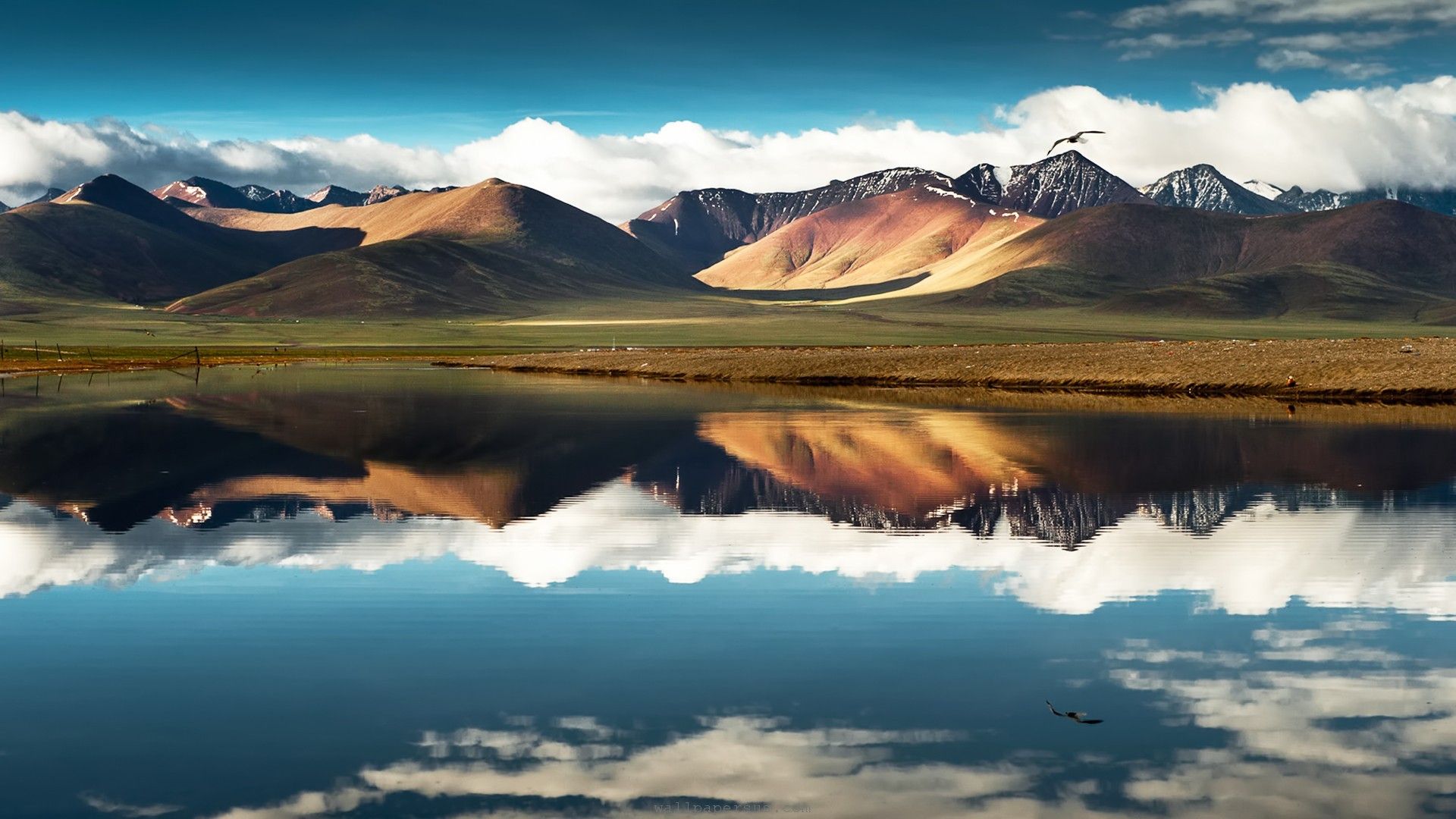 Adventurous Ladakh Honeymoon package